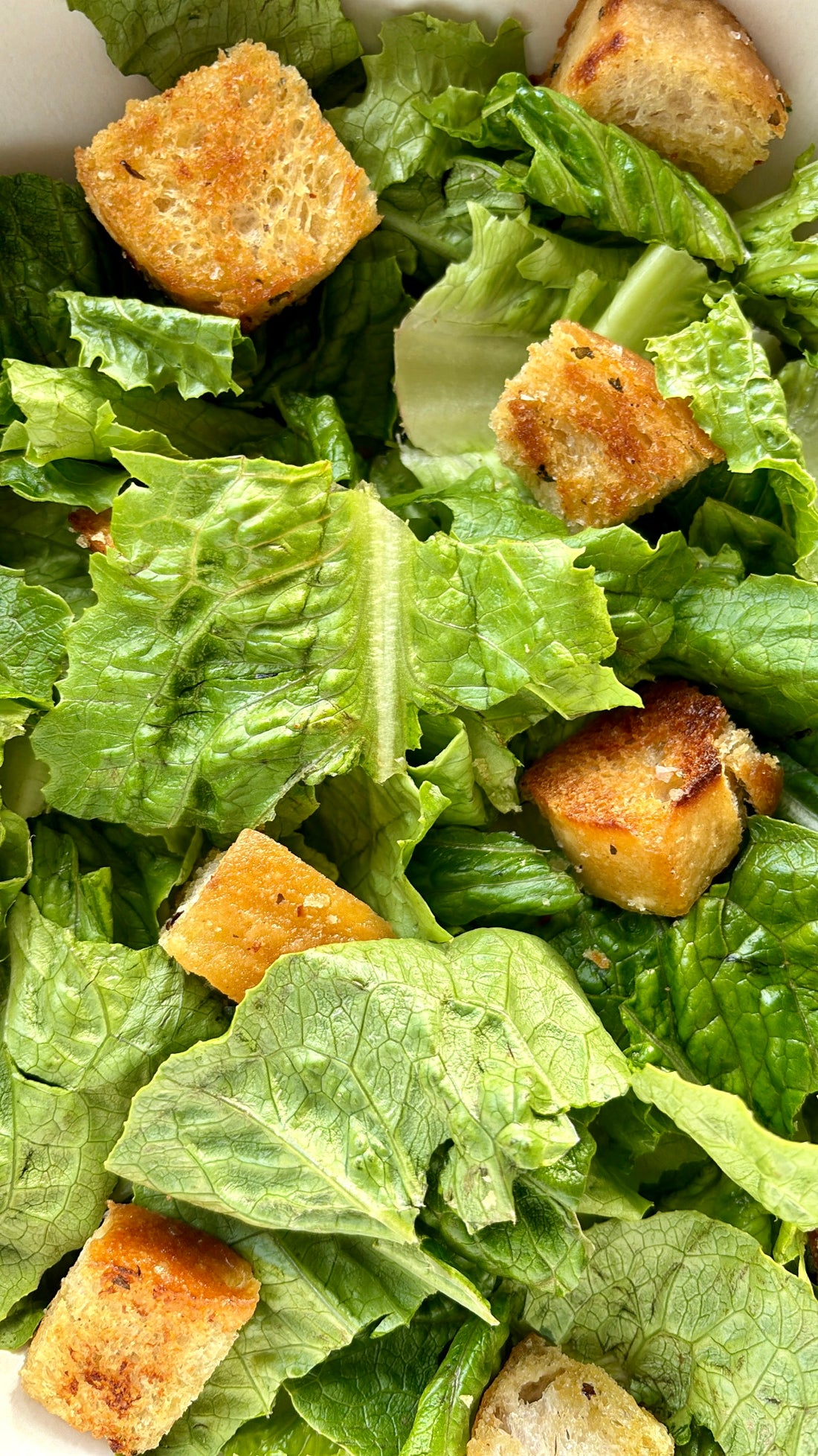 Homemade Croutons